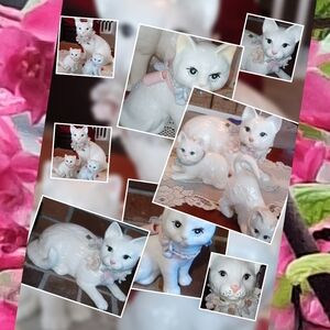 🐱 Expensive Large Beautiful Vintage Ceramic White Cat Set